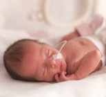 פגים בישראל 2018: חסרי הגנה-תמונה